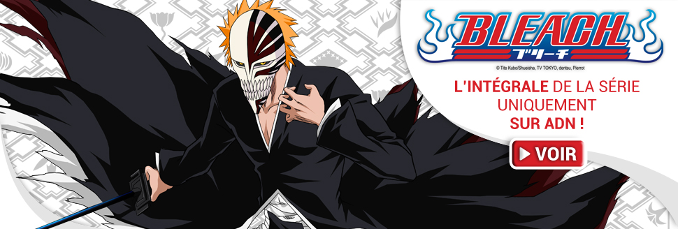 Bleach 1 VOSTFR - JetAnime